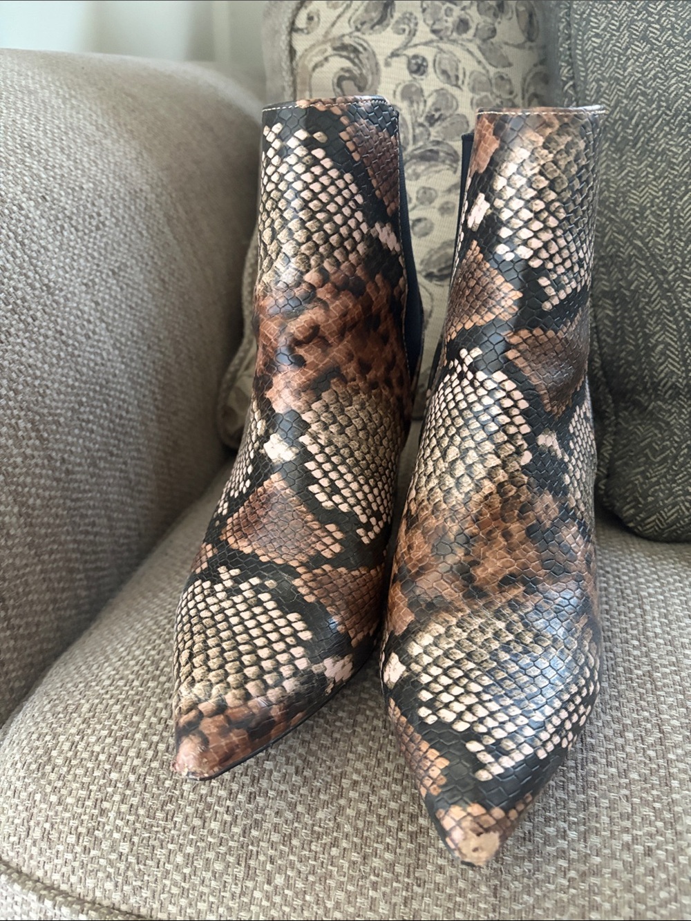 Women’s Snake-Print Pointed Toe Ankle Boots - Brown/Black